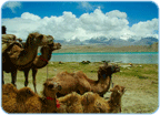 Am Karakul See in der Provinz Xinjiang